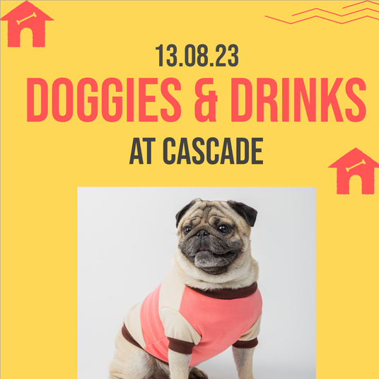 Doggies and Drinks with a pictire of a pug